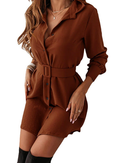 Lapel Long-sleeved Dress™